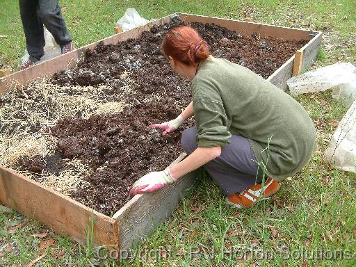 Making no-dig garden bed Bec 